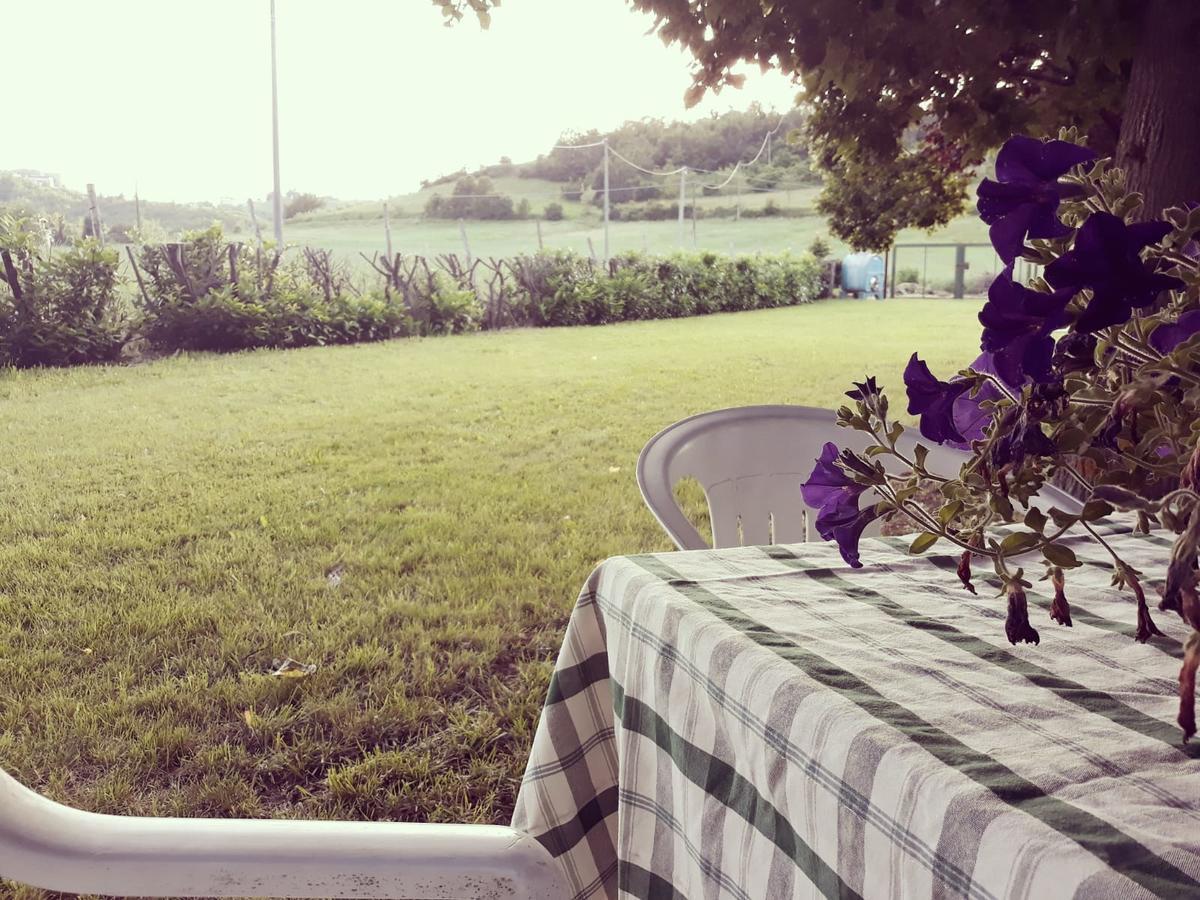 Gavi/Alice Open Space Bed & Breakfast Dış mekan fotoğraf