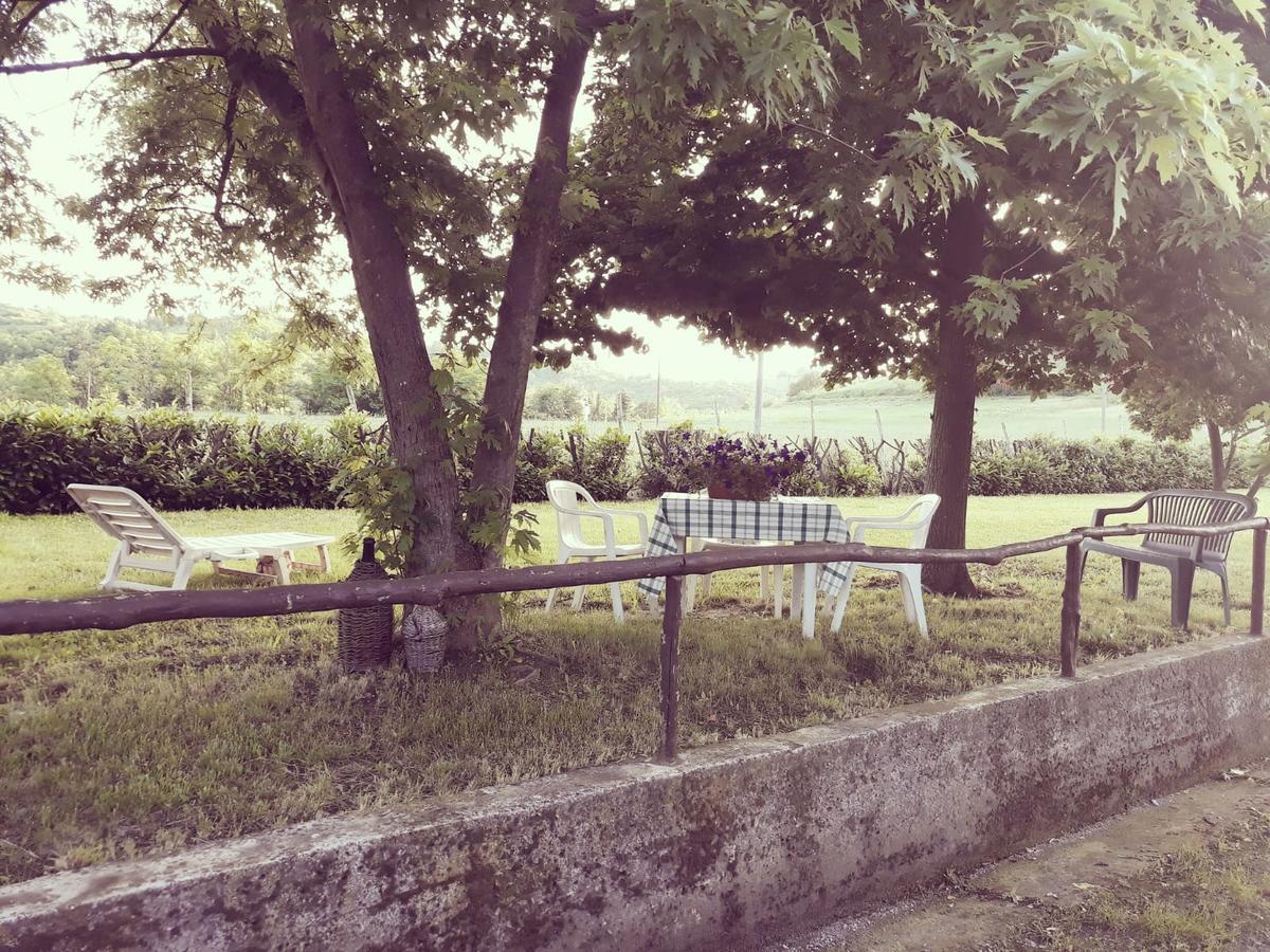Gavi/Alice Open Space Bed & Breakfast Dış mekan fotoğraf